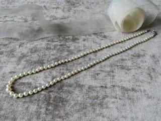 MIKIMOTO�ץ�󥻥��ͥå��쥹