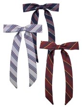 Regimental Ribbon Tie