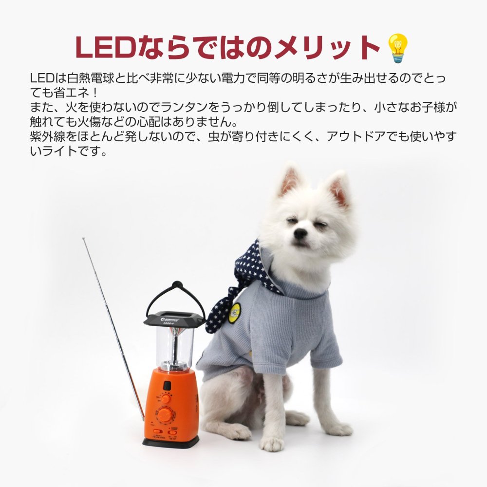 グッドグッズ(GOODGOODS) LED ランタン 停電対策 災害用 キャンプ フラッシュライト ラジオ 手回し USB出力 警報ブザー 乾電池対応  防災グッズ 常備 LS40-F