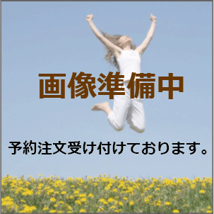 BM007-04001Хޥå10120