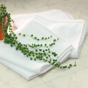 W009ۥƥѥСå170112