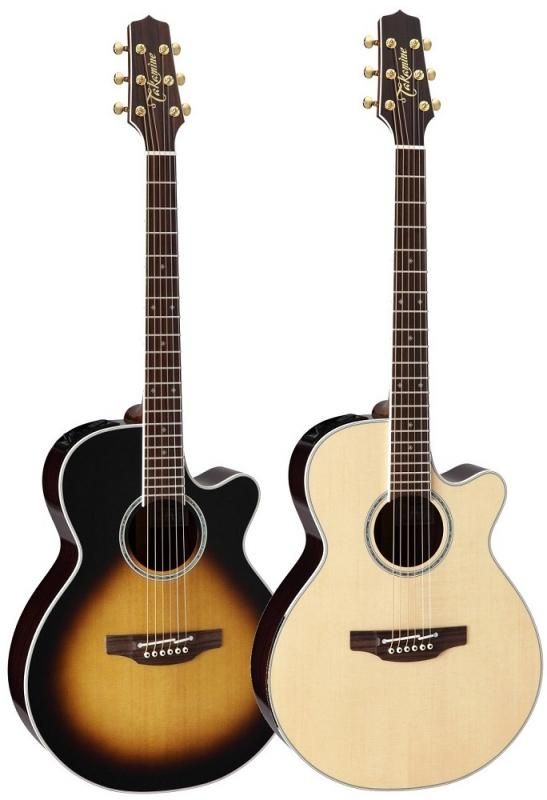 TAKAMINE タカミネ アコースティックギター ヴィンテージ