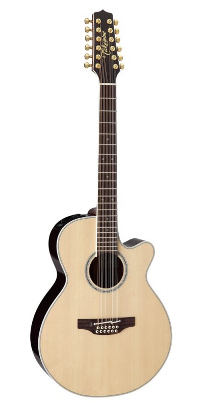 タカミネ(ミニアコースティックギター) - アコースティックギター
