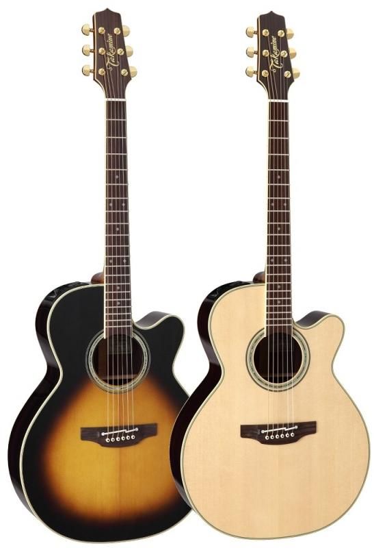 Takamine ギター タカミネ - 弦楽器、ギター