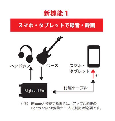 送料無料】Phil Jones Bass フィル・ジョーンズベース BIGHEAD PRO Ver