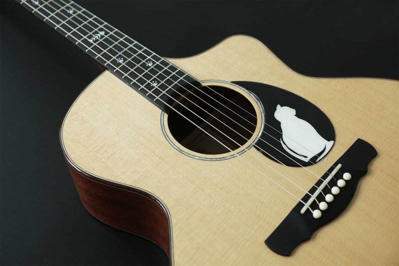 送料無料】Natasha Guitar ナターシャギター CAT アコースティック