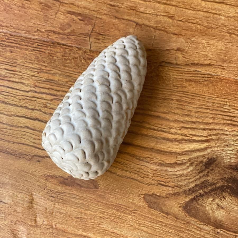 <img class='new_mark_img1' src='https://img.shop-pro.jp/img/new/icons14.gif' style='border:none;display:inline;margin:0px;padding:0px;width:auto;' />ϩܤäꡡ硡졼إѥȣϣˡ