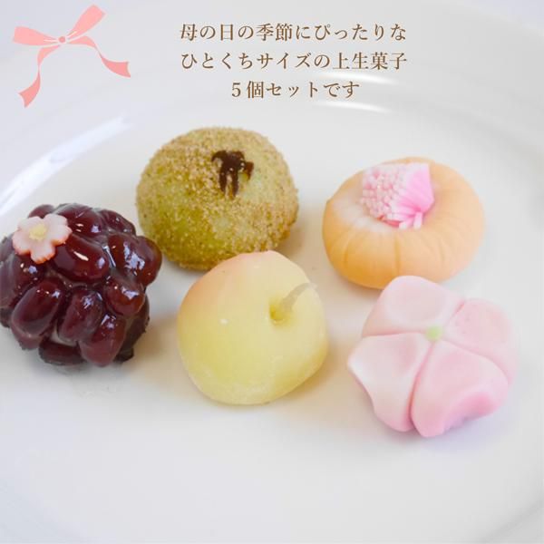 母の日 ギフト 21年 限定 上生菓子5個入り 常温発送 プレゼント 和菓子 詰め合わせ 出雲の和菓子 坂根屋 ぜんざい どらやきの通販 お取り寄せ 母の日 ギフト 21年 限定 上生菓子5個入り 常温発送 プレゼント 和菓子 詰め合わせ 出雲の和菓子 坂根屋 ぜんざい どらやきの通販 お取り寄せ