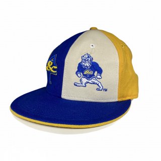 <img class='new_mark_img1' src='https://img.shop-pro.jp/img/new/icons15.gif' style='border:none;display:inline;margin:0px;padding:0px;width:auto;' />North Carolina A&T Aggies Cap