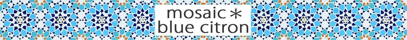 mosaicblue citron⥶֥롼 ȥ