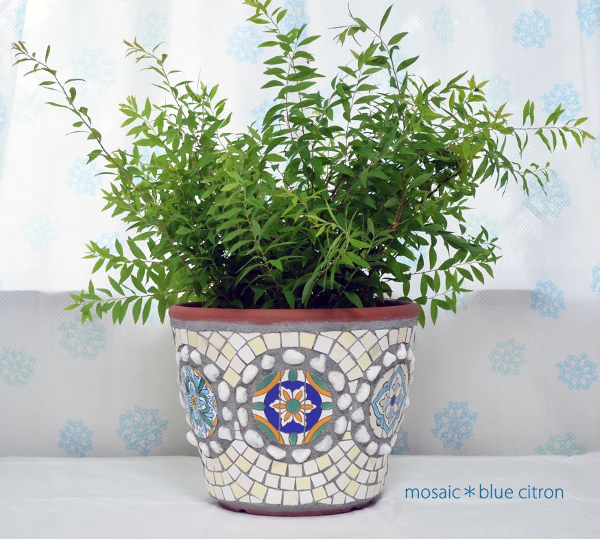 チュニジアのタイルの植木鉢
