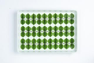 Gustavsberg BERSA / �������ե��٥� �٥륵 �쥿�󥰥�ץ졼��