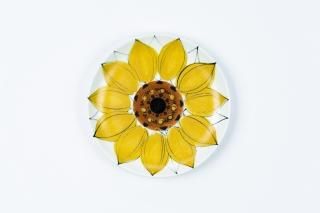 ARABIA ����ӥ� Hikka-Lisa Ahola �Ҥޤ��ץ졼��