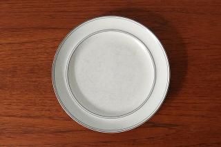 Gustavsberg / BIRKA �ץ졼�� ��24cm�㥹�ȥå�����Τ������