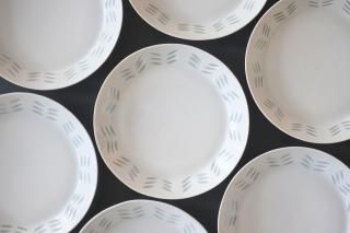 ARABIA RICE �饤�� �ץ졼�� ��15cm�㥹�ȥå�����Τ������