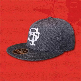 STOIST SNAPBACK CAP (Gray & Gray)