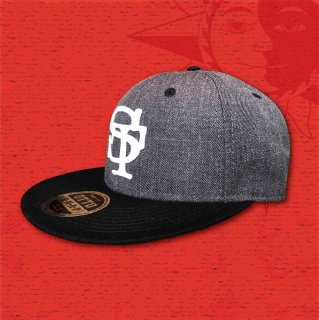 STOIST SNAPBACK CAP (Gray & Black)