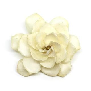 ʥ ֥