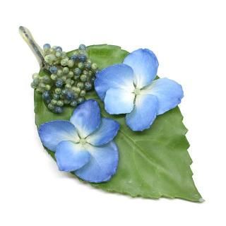 苑 本物の花・実のアクセサリー