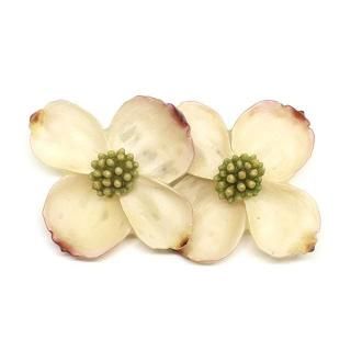 苑 本物の花・実のアクセサリー