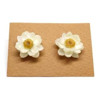 �ϥʥ��󥶥� �ԥ���