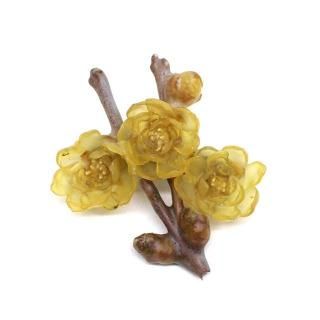 �����Х� �֥�����