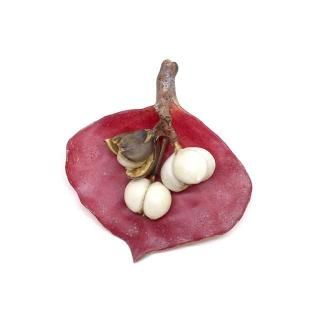 �ʥ󥭥�ϥ� �֥�����