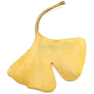 �����祦 �֥�����