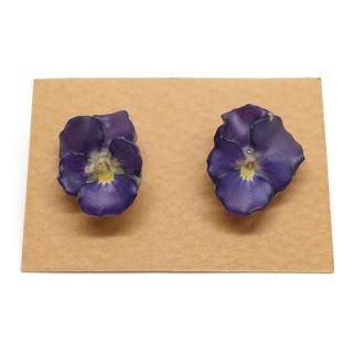 �ӥ��� �ԥ����ʻ��