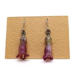 ����󥳥����ߥ�٥� �ԥ���