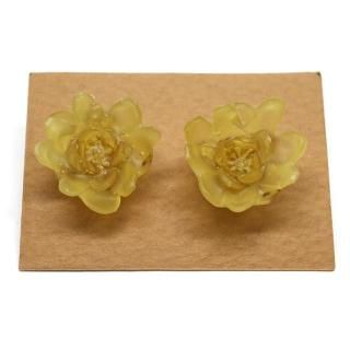 �����Х� �ԥ���