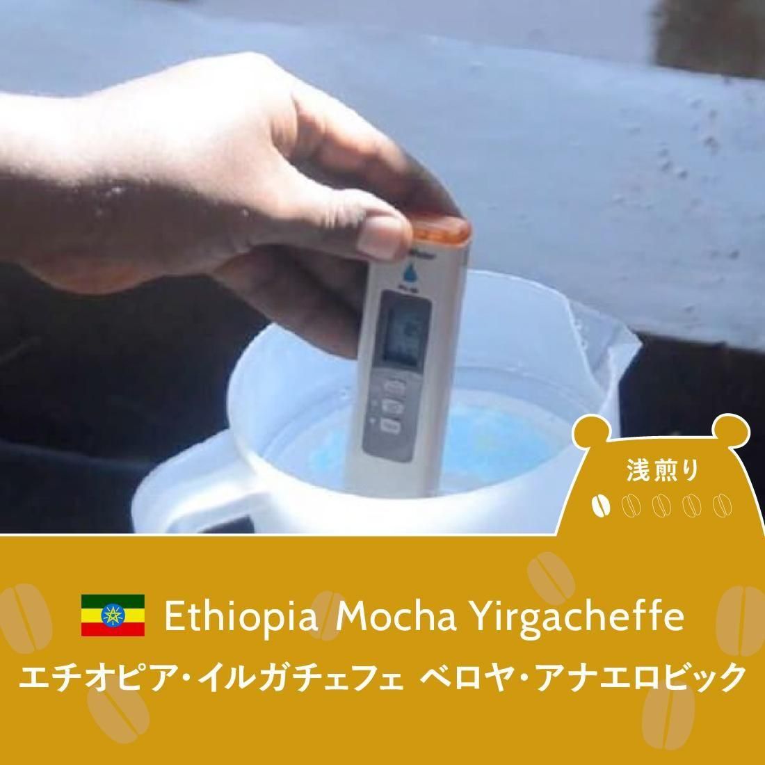 Ź޼ѡۥԥ륬ե٥䡦ʥӥåʥ<br>