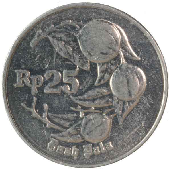 25ルピア硬貨|インドネシア|コレクターズショップトモリンズ24