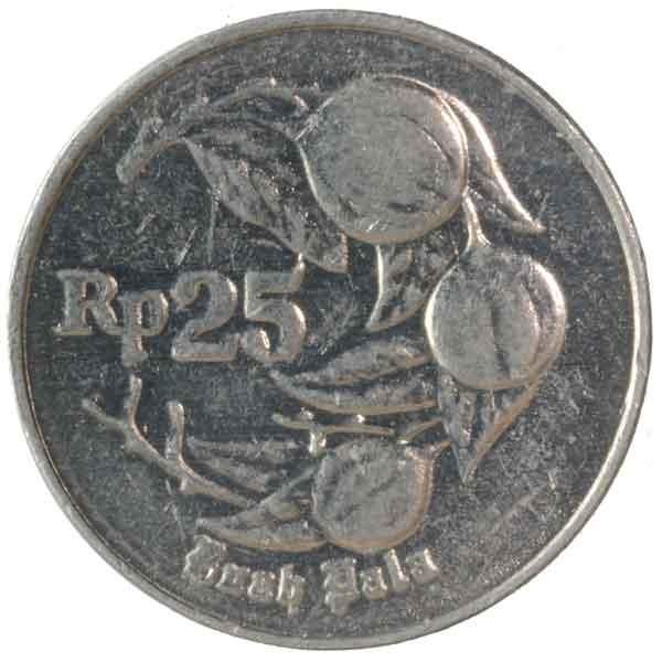 ɥͥ25ԥŲ