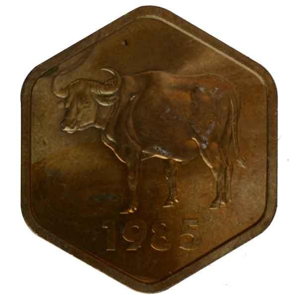 ミントセットのメダル kmsj-1346_3.jpg