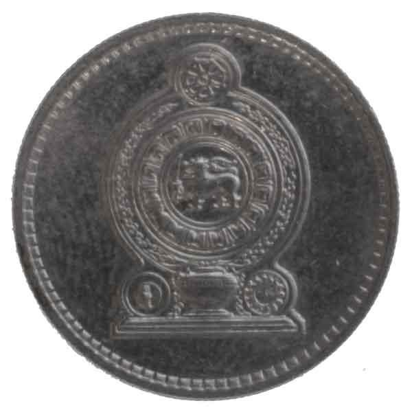 50ȹŲ