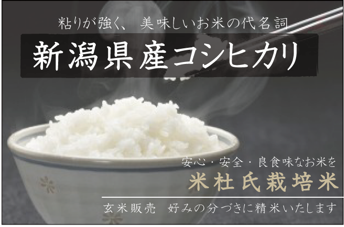 新潟県産こしひかり　粘りが強く　おいしいお米の代表格