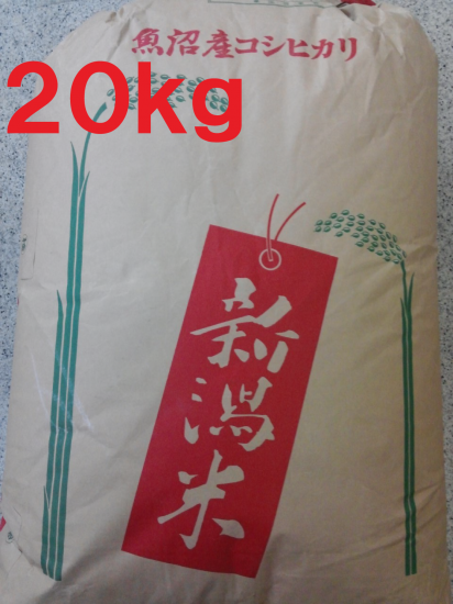 4年産魚沼コシヒカリ1等20kg - お米の国