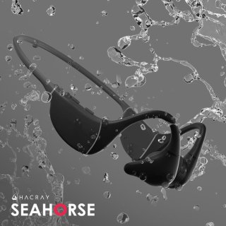  HACRAY ϥ饤 SeaHorse Ƴۥ IP68ɿ Bluetooth5.2 8GBΥܤǥۥñΤǻѲǽ 