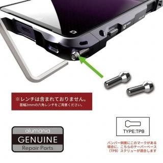 alumania アルマニア EDGE LINE及びARC LINE用ネジ2本 TPBテーパーベーススクリュー2ケセット