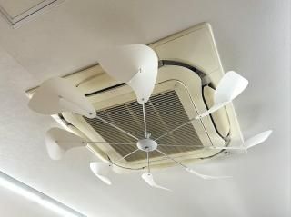  ե ŷ ʥ1200? ղǽĴ ŷ楫åȷ(ס950mm) ȡǥ