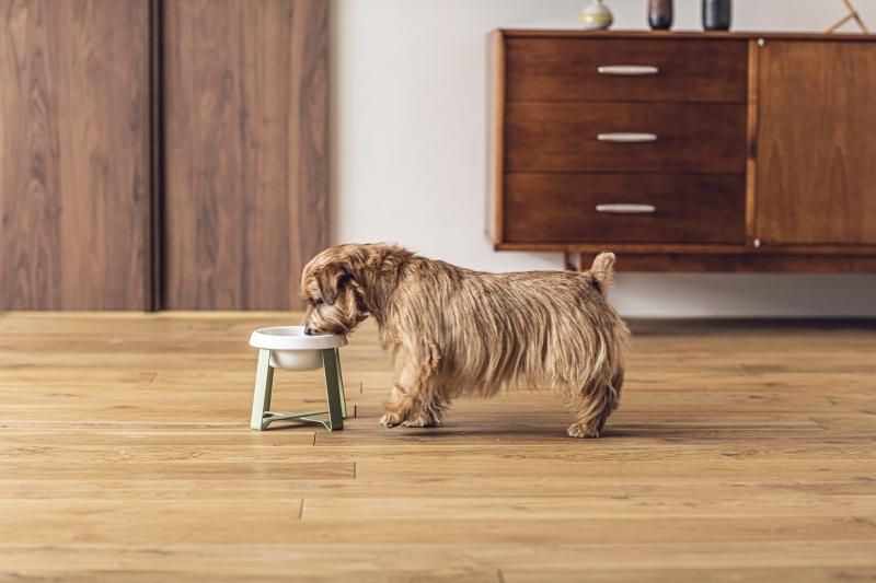 レア品 PECOLO ペコロ フードスタンド L 犬用 カカオ レア品 PECOLO ペコロ フードスタンド L 犬用 カカオ フード