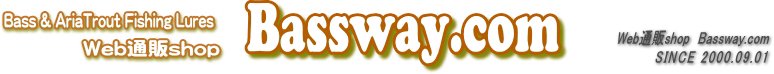 WebShop Bassway.com