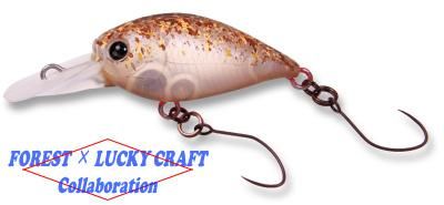 ディープクラピー１９個セット ディープクラピー19個セット ディープクラピー19個セット 楽天