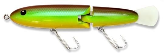 ZEAL ズイール アマゾンサウザー Gill 今月のZEALは初登場、アマゾンサウザー! | JUNKFOOD ジャンクフード