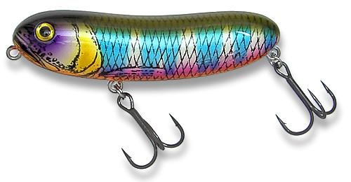 FRANK SUM - Web通販Shop Bassway.com