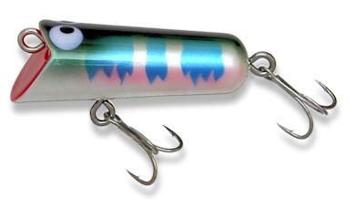 チマチマ アンカニーチャップ - Web通販Shop Bassway.com