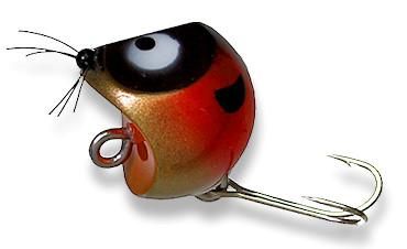 アライ君ヘッド24 スプラッシュ - Web通販Shop Bassway.com