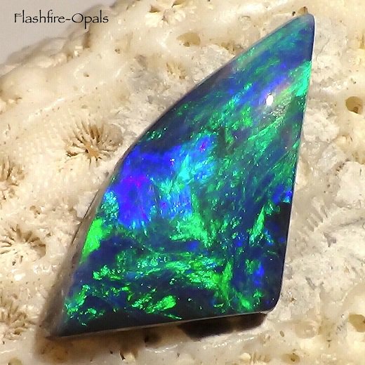 ブラックオパール 2.0ct - オパール専門店　Flashfire-Opals-Japan