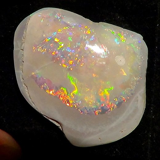 ホワイトオパール 24.8 ct - オパール専門店 Flashfire-Opals-Japan